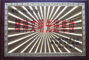 ���������Ƚ���λ