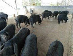 ������������