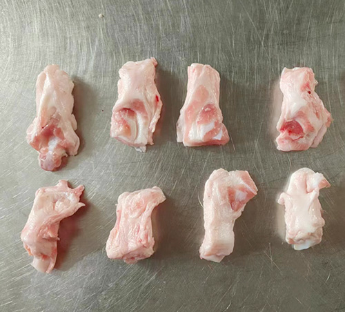 տ